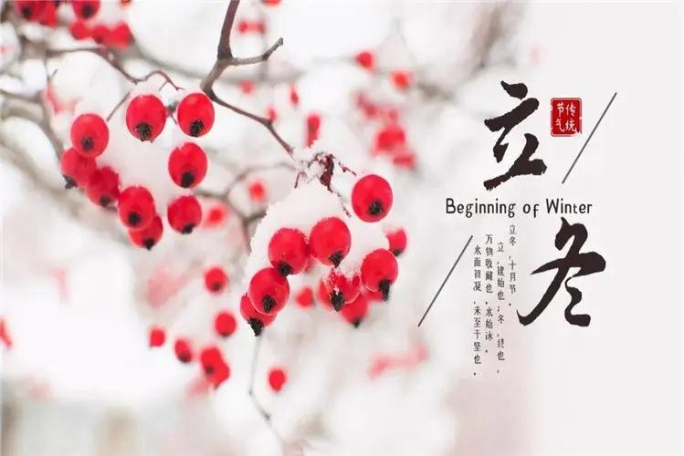 秋走冬又至，立冬啦